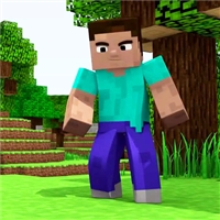 play Mini Craft Game